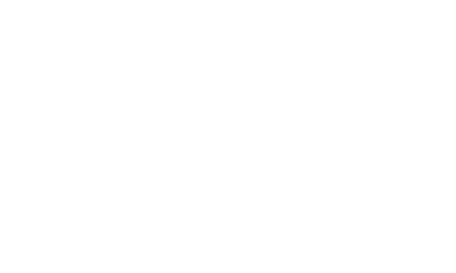 Dealer Assistance Logo